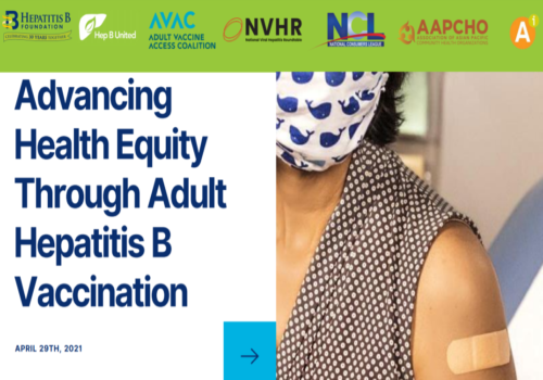 Advancing Health Equity Through Adult Hepatitis B Vaccination ...